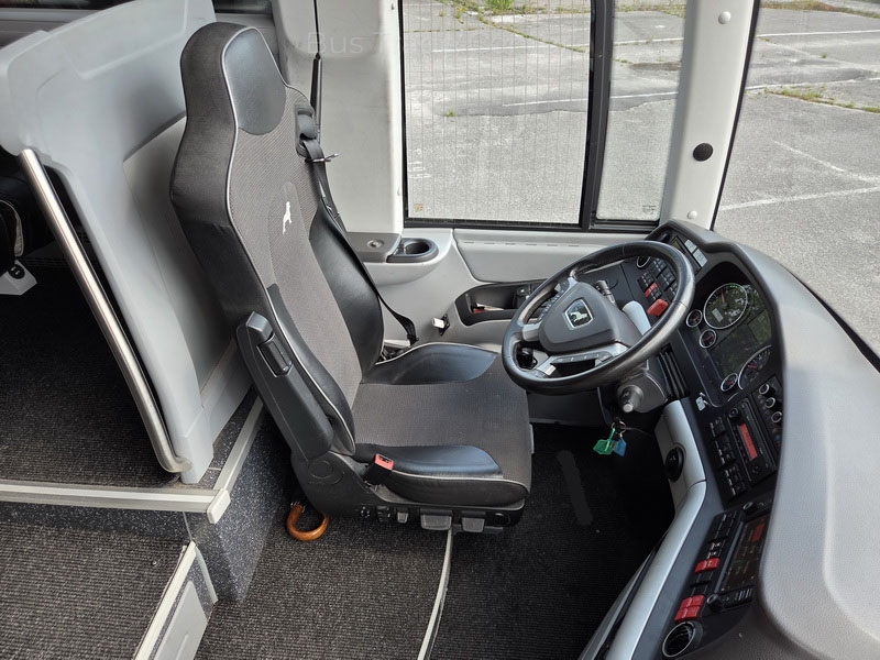 MAN LION'S COACH