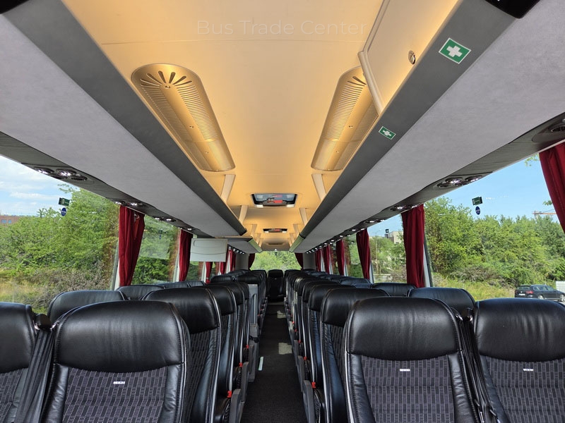 MAN LION'S COACH